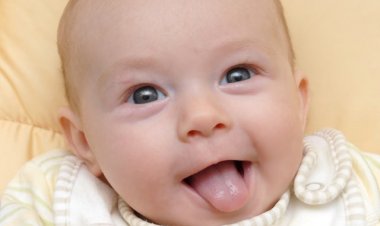 Anne Sütü Bankası Nedir?