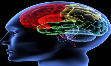 Dirençli Epilepsi Hastaları Doğru Teşhise Ulaşana Kadar Zaman Kaybedebiliyor