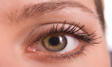 Wilson Hastalığı Organlarda Bakır Birikimine Neden Oluyor