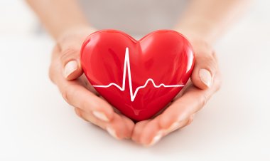 Okul Çağındaki 100 Çocuktan 2’sinde Kalp Anomalisi Görülüyor