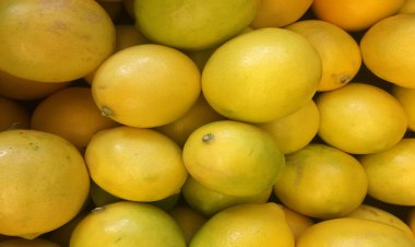 Limonata Böbrek Taşı Oluşumunu Önlüyor!