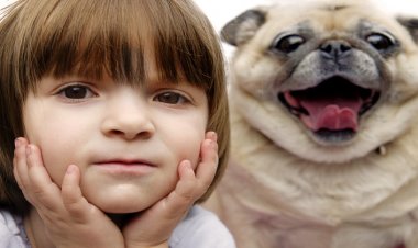 Kuduz Şüphesinde Ne Yapılmalı? İlk 15 Dakika Çok Önemli