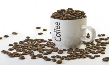 Aşırı Çay ve Kahve Göz Kurutuyor!