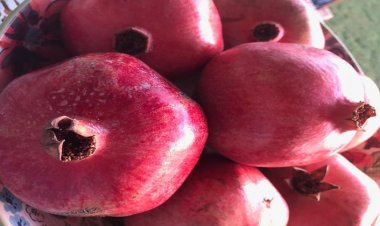 Boy Uzamasına Yardımcı Besinler