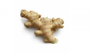 Üst Solunum Yolu Enfeksiyonlarından Savaşçı Bitkilerle Korunun