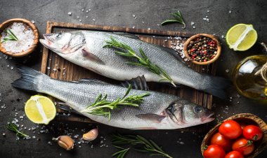 Türkiye'de Kişi Başı Balık Tüketimi 6-8 Kiloyu Geçmiyor