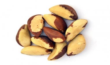 Selenyum Kaynağı Brezilya Cevizini Tüketirken Dikkat Edin