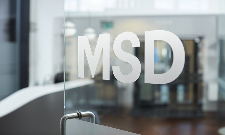 MSD ve Organon Ayrılması Tamamlandı