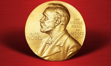 2021 Nobel Tıp Ödülü Sahiplerini Buldu