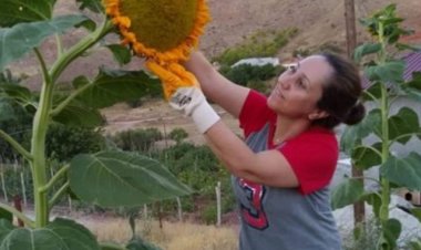 Pandemide Hayalini Gerçekleştirdi! Bokaşi Kompost'la Doğal Tarım Yapıyor