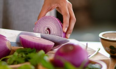 ABD’de Salmonella Salgını: İthal Soğanları Çöpe Atın Uyarısı