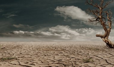 Lancet: İklim Değişikliği Nedeniyle Yeni Salgınlar Patlak Verebilir