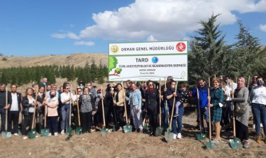 TARD Ve Dräger Türkiye'den Sağlık Çalışanları İçin Hatıra Ormanı