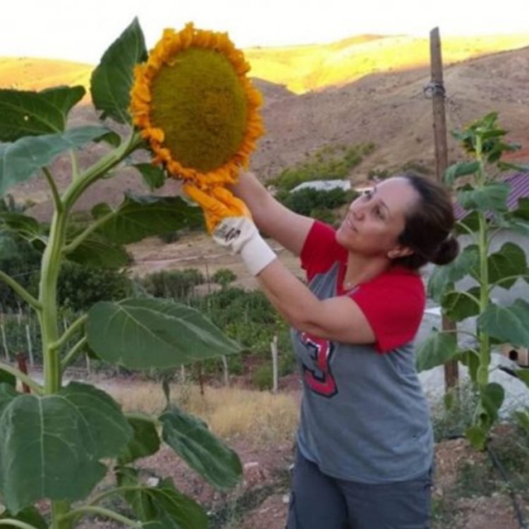 Pandemide Hayalini Gerçekleştirdi! Bokaşi Kompost'la Doğal Tarım Yapıyor