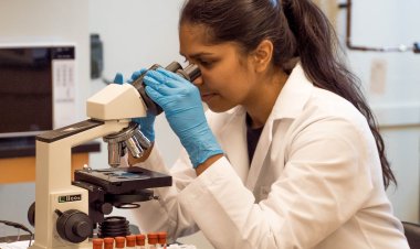 Kan Testi İle 50'den Fazla Kanser Türü Tespit Edilebilecek