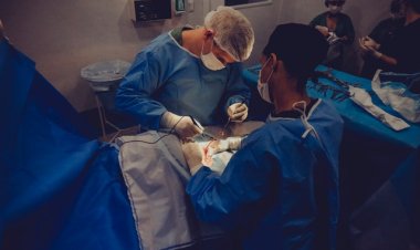 10 Soru 10 Cevap: Türkiye'de Organ Bağışı Nasıl Yapılır?