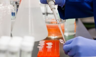 Gene2info'dan Nadir Hastalıklara Yönelik 1 Yılda  12 Bin Analiz Testi