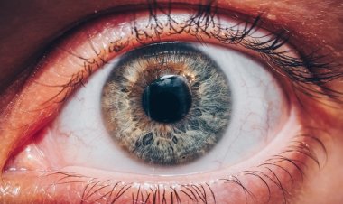 Kornea Bağışı Onların Dünyasını Aydınlatıyor