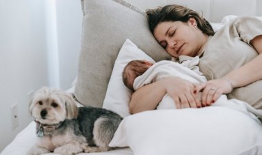 Bebeklerde Uyku Eğitimine Ne Zaman Başlanmalı?