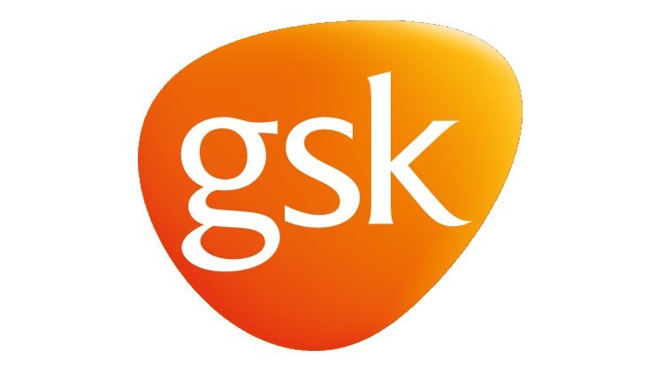 GSK Türkiye'ye 6. Kez En İyi İşveren Ödülü