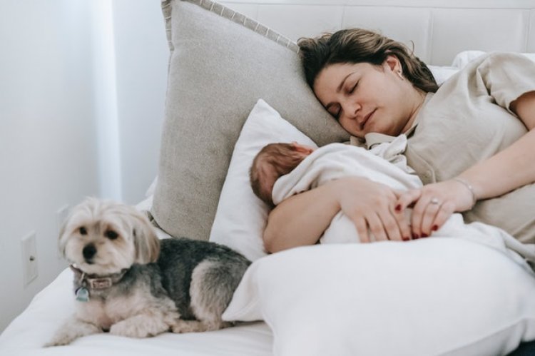 Bebeklerde Uyku Eğitimine Ne Zaman Başlanmalı?