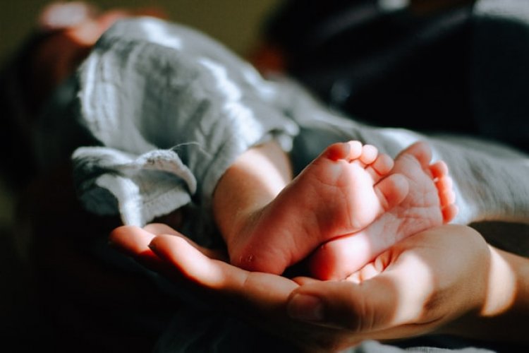 Tüp Bebek Süreci Nasıl İşliyor? Tüp Bebek Uzmanı Dr. Hande Akbaş Anlattı