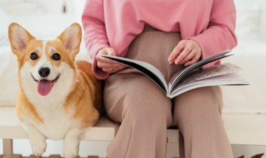 Tüp Bebek Süreci Nasıl İşliyor?