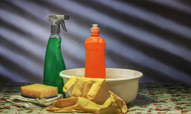 Ev Tozuna Dikkat: Alerji Ve Astımı Tetikliyor