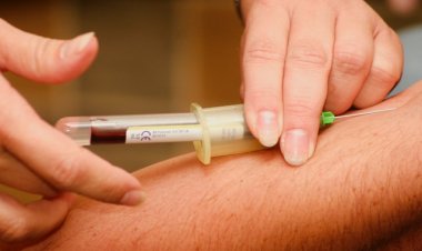 B12 Vitamin Eksikliği Anemiye Yol Açıyor