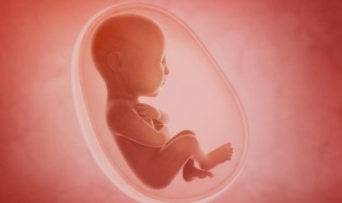 Doğumsal Kalp Hastalığında Yaşa Göre Belirtiler!