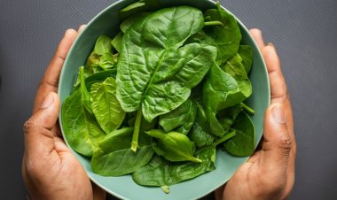 Ispanağı Besin Değerini Kaybetmeden Pişirmenin Yolları