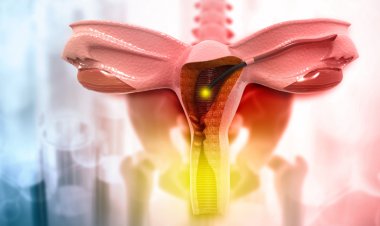 Zayıf Bağışıklık Sistemi Rahim Ağzı Kanserine Sebep Olabilir