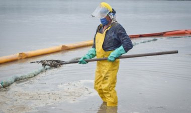 BM: Çevre Kirliliği, Covid-19'dan Daha Fazla Can Alıyor