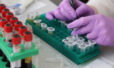 Argenit Kansere Dijital Çözüm Sunuyor