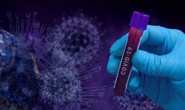 BA.2 Varyantı Omicron'dan Daha Mı Tehlikeli? Bilim İnsanları Yanıtladı!