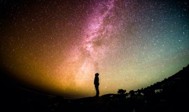 Beyin Ölümü İlk Kez Görüntülendi: Rüya, Anı ve Meditasyon Gibi!