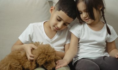 Evde Erken Yaşta Kedi Ve Köpek Beslemek Alerji Riskini Azaltıyor