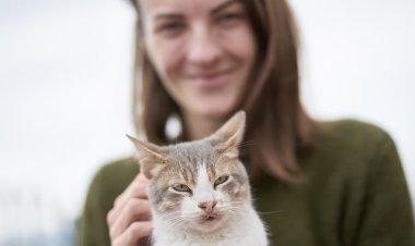 Alerjisi Olanlar İçin Kedili Bir Hayat Mümkün