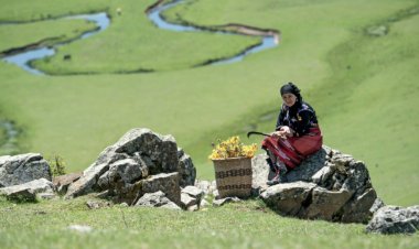 14 Mart Tıp Bayramı Yarışmasının Kazananları Belli Oldu