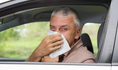 Trafikte Alerjik Rinitin Önüne Geçin