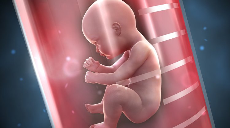 Tüp Bebekte PGT Tedavisi Nasıl Yapılır?