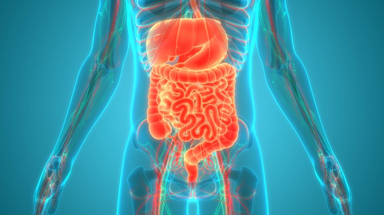 "30 Yaştan İtibaren 5 Yılda 1 Gastroenterolog Kontrolü Yaptırın"