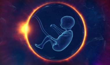 Tüp Bebekte Non-invasive PGT Dönemi