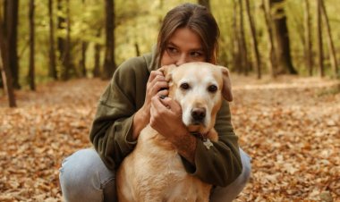 Köpekler Neden Ağlamaklı Ses Çıkarır? İşte Köpeğinizi Anlamanın Yolları