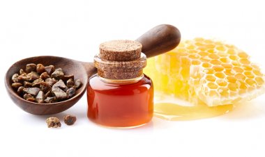 Propolis Kanser Hücrelerinin Çoğalmasını Engelliyor!