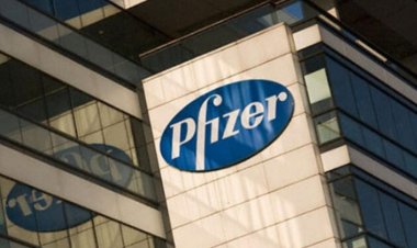 Pfizer Türkiye'ye 3 Ayrı Stevie Ödülü