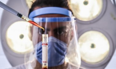 Çin'de İlk Kez İnsanda H3N8 Türü Kuş Gribi Tespit Edildi