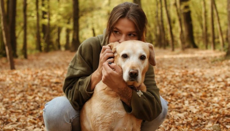 Köpekler Neden Ağlamaklı Ses Çıkarır? İşte Köpeğinizi Anlamanın Yolları