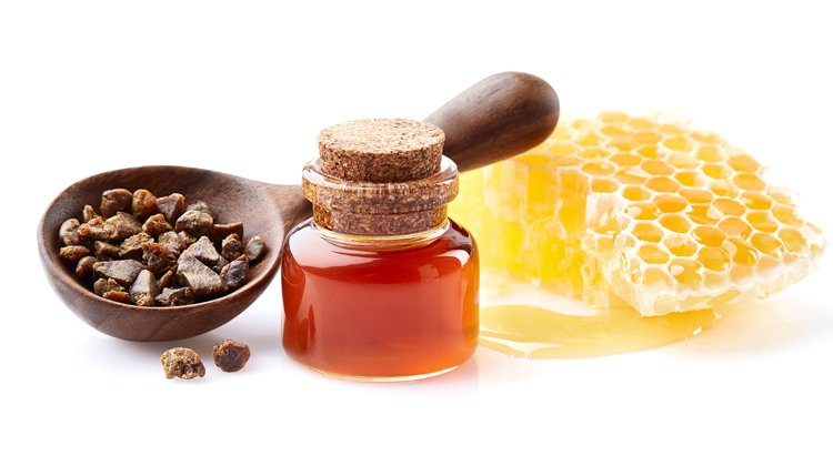 Propolis Kanser Hücrelerinin Çoğalmasını Engelliyor!