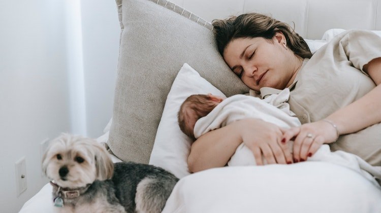 Yeni Ebeveynler İçin Kaliteli Dinlenme İpuçları